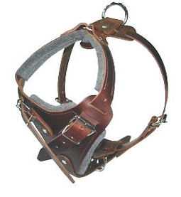 Padded Dog Harness for police dogs-BUY Leather Dog Harness