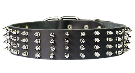 Protector Full Spiked 2 inch collar for police dogs