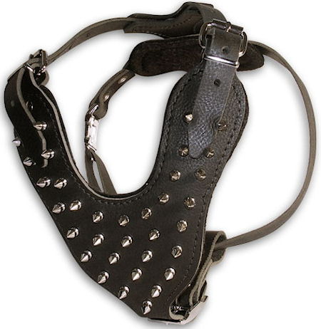 spiked dog harness