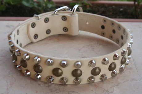 designer custom dog collar with studds 
