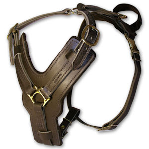 Exclusive Luxury Handcrafted Padded Leather Dog Harness