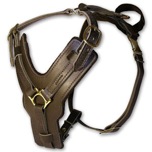 luxury dog harness