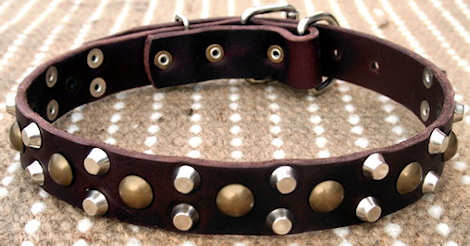 best custom studded leather dog collar
