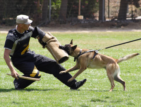 Schutzhund And Sport Bite Sleeve,Bite Sleeves Ideal For Schutzhud And Sport Training,2008 Bite Protection Sleeve - X-Sleeve
