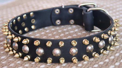 3 Rows with brass Leather Spikes and Studded Dog Collar