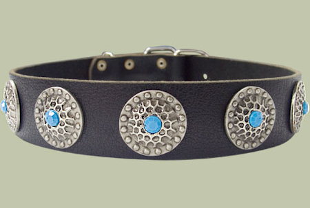 Leather Designer dog collar for All Breeds