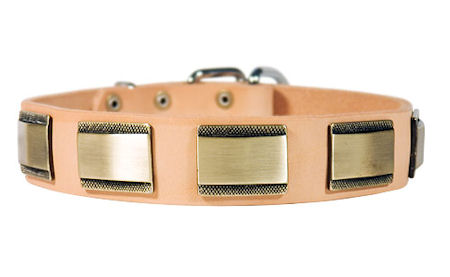 Designer Dog Collar for DOG-Leather Custom Collar [C88##1097 Dog