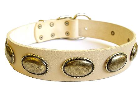 Retro Rulz - Gorgeous Vintage Dog Leather Collar for dog training or for dog owners