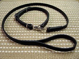 Police / hunting" dog leash and collar (combo) for training or owners