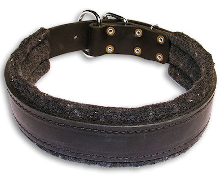 Padded Leather dog collar with thick felt for dog training or for dog owners
