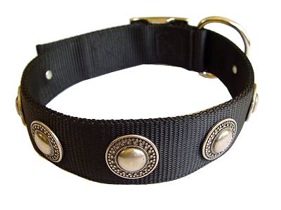 Nylon Dog collar with silver conchos