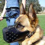 Leather Dog Muzzle "Dondi" style