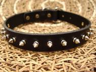 Leather Spiked Dog Collar- 1 Row of spikes collar for all dogs