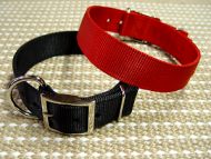 Nylon Dog Collar - 2  Ply Nylon:; with Nickel Plated Hardware for Dog Training