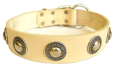 Deluxe Leather Dog Collar with jewelry for schutzhund dogs