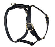 SENSATION Dog Harness for DOG walking