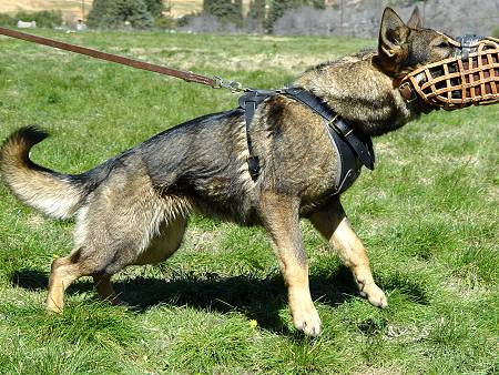 K9 Leather Basket Dog Muzzle-Police Model 