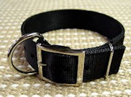 Get 1 1/5 inch Nylon Dog Collar for Working Dogs
